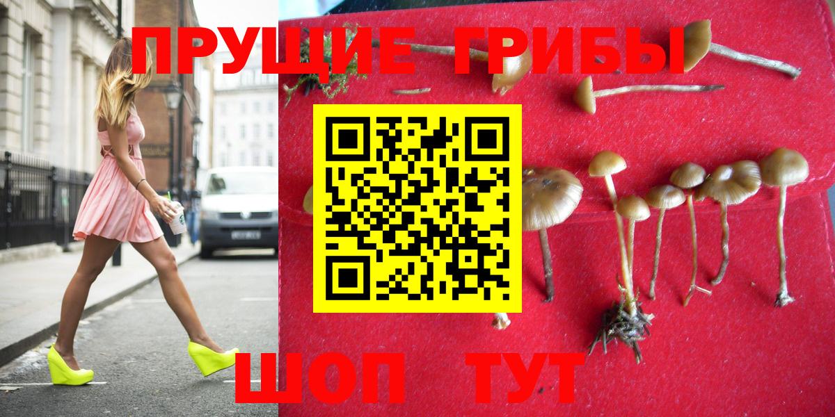 Галлюциногенные грибы Psilocybine cubensis Острогожск